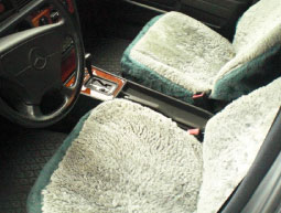 Rentnerwagen